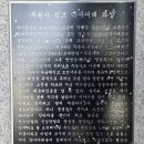 탑리 석조약사여래좌상塔里 石造藥師如來坐像 | 밀양 영남루密陽 嶺南樓 절벽 천년고찰 아동산무봉사衙東山舞鳳寺 2