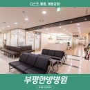 의료법인 정강의료재단 부평수한방병원 네이버블로그