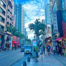 (주)우리렌트카 | 오키나와 시내 렌트카 렌터카 추천 차 사고 후기