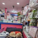 응암동물병원 이미지