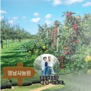 영남사 이미지
