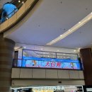 화이트 브랜드샵 | [중국/상하이] 상하이여행 선물추천! 따바이투 화이트래빗 슈퍼브랜드몰점 무인상점 후기