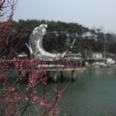 성윤횟집 이미지