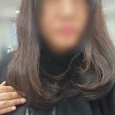 헝크러진머리 미용실