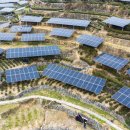 신화 태양광발전소 이미지