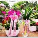 구성꽃백화점 이미지