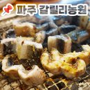 GS25 파주금릉점 | 파주 갈릴리농원 장어 내돈내산 재방문 후기｜준비물·주차·웨이팅까지