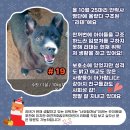 리태 Daum카페