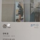호텔당근 이미지