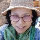 쇠똥구리 농장 이미지