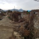 장산 장병준 생가 이미지