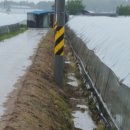 전천후농장 이미지