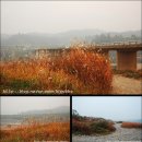 고랑포구 이미지