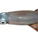 오징어PC방 이미지