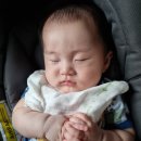 여도연합의원 이미지