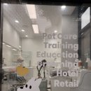 우쭈쭈플렉스 애견유치원 호텔 광주점 이미지