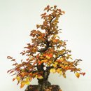 소사중학교 이미지