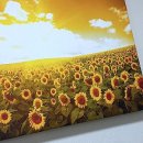 처음 만나는 경제 | 잠실에서 만나는 나만의 뷰티 솔루션, 꼼꼼한 마사지 후기!