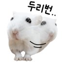대빵인형뽑기 이미지