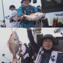 도시어부 박프로 이미지