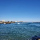 해변수산 이미지