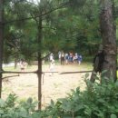 해법 행정사사무소 이미지