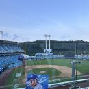 스카이(주) | 삼성라이온즈파크 라팍 스카이하단 U-7구역 1열 4번 시야 장단점 후기