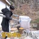 인투고