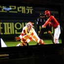 두존치킨 - 구례군 로터리길 24-1 | 두존치킨