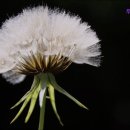 두성스크린골프 이미지