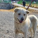 새만금관광안내소 이미지