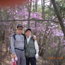 북한산초등 이미지