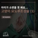 홍제동물병원 이미지