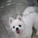 견사무소 호텔 유치원 이미지