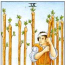 타로 심리상당 이미지