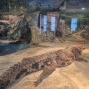 해양자연사박물관 | 부산 동래구 온천동 (부산해양자연사박물관) 관람 후기