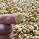 태광1농장 이미지