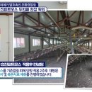 효진농장 이미지