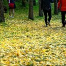 사랑으로 이미지