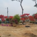 미송농장 이미지