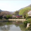 리빙진도 이미지