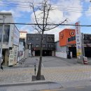 등촌샤브샤브 부산본점 | 부산 연제구 샤브샤브 맛집 끝판왕 등촌동샤브샤브 부산본점 칼국수 볶음밥까지 완벽