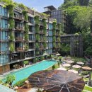 울진북로3 (군도20) | 인생여행지 푸켓_2일차 시밀란섬 투어 꿀팁 공유