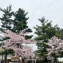 밤리1275