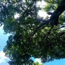 감골공원길 이미지