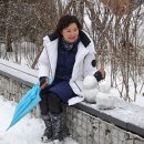 락카페 이미지