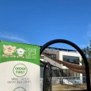 개떼월드 이미지