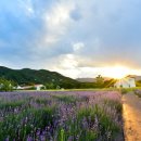 하늬목장 이미지