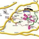 ●제471회차 여수 영취산(510m) 진달래꽃 산행● 이미지