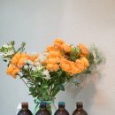 버드나무크래프트 | 음용성 뛰어난 명작 국산 크래프트 맥주 버드나무 브루어리 미노리 세션 가격 맛 후기